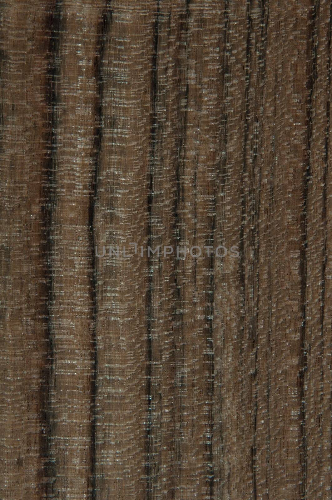 a wood rustic exclusive texture