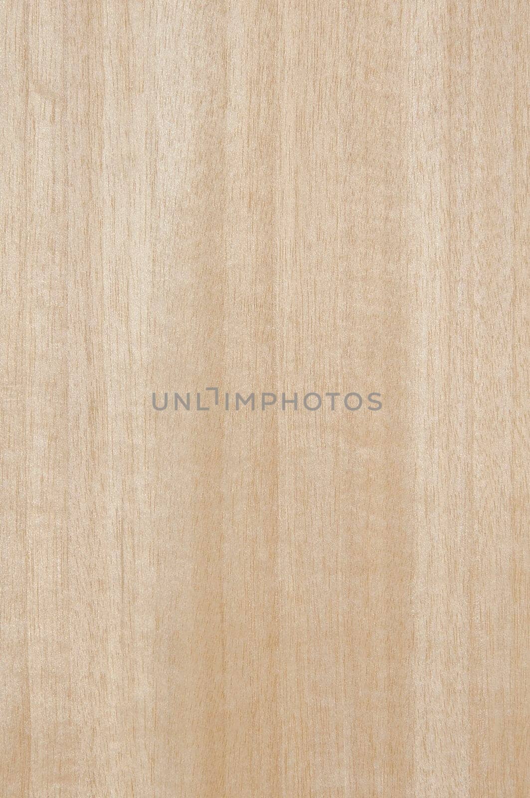 a wood rustic exclusive texture