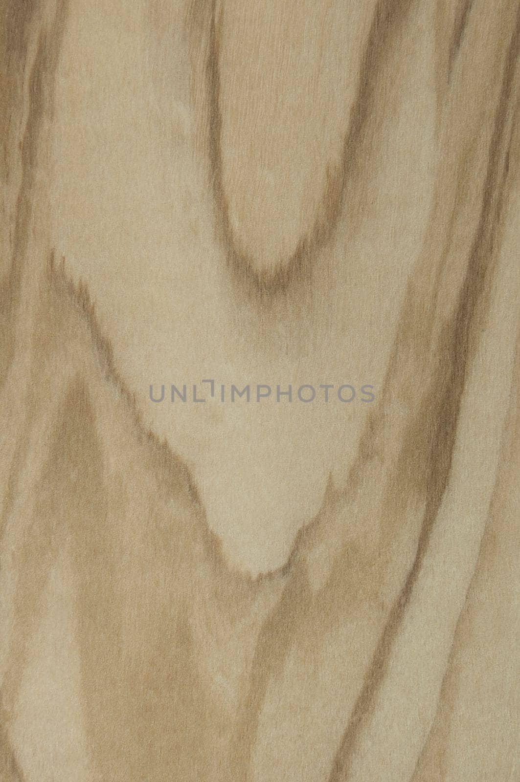 a wood rustic exclusive texture