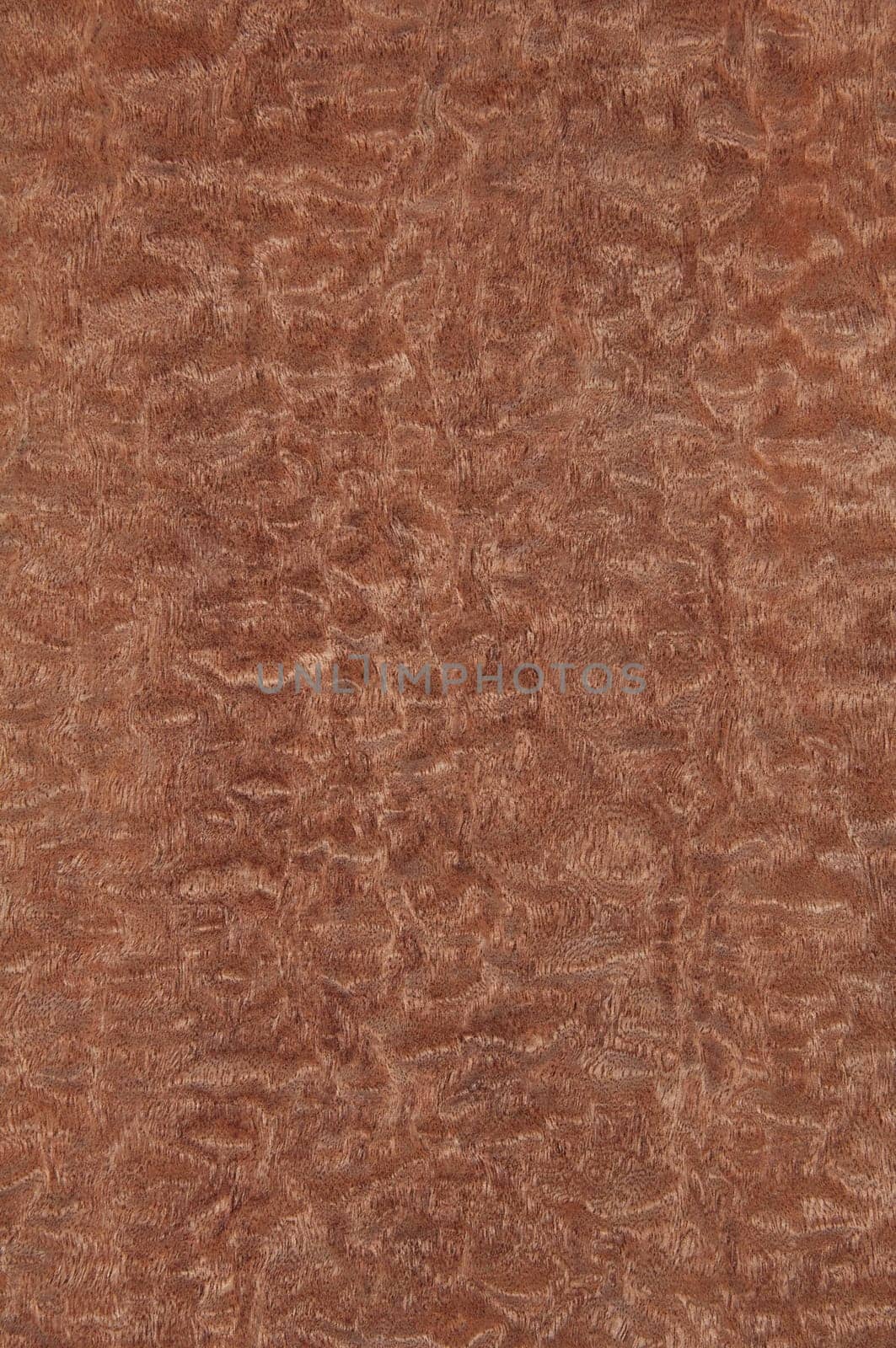 a wood rustic exclusive texture