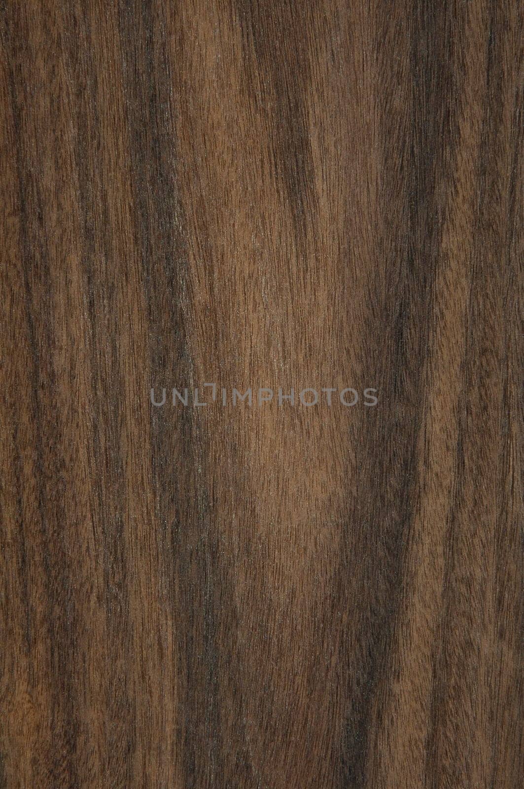 a wood rustic exclusive texture