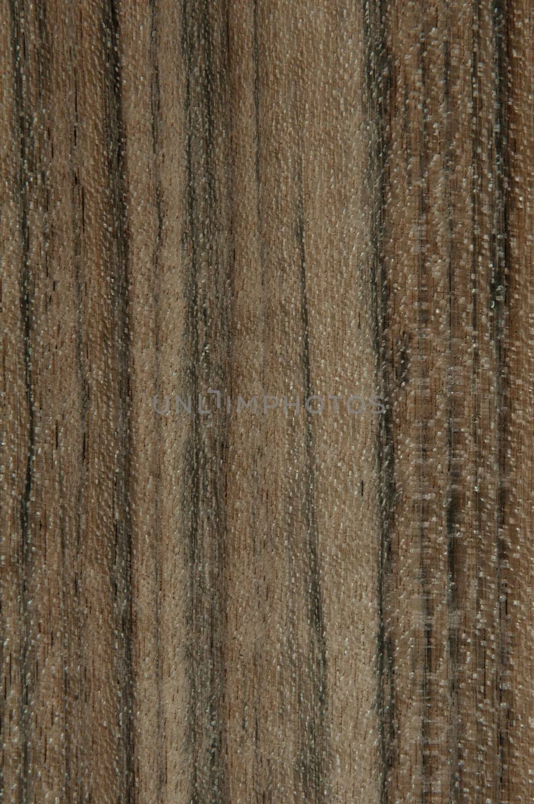 a wood rustic exclusive texture