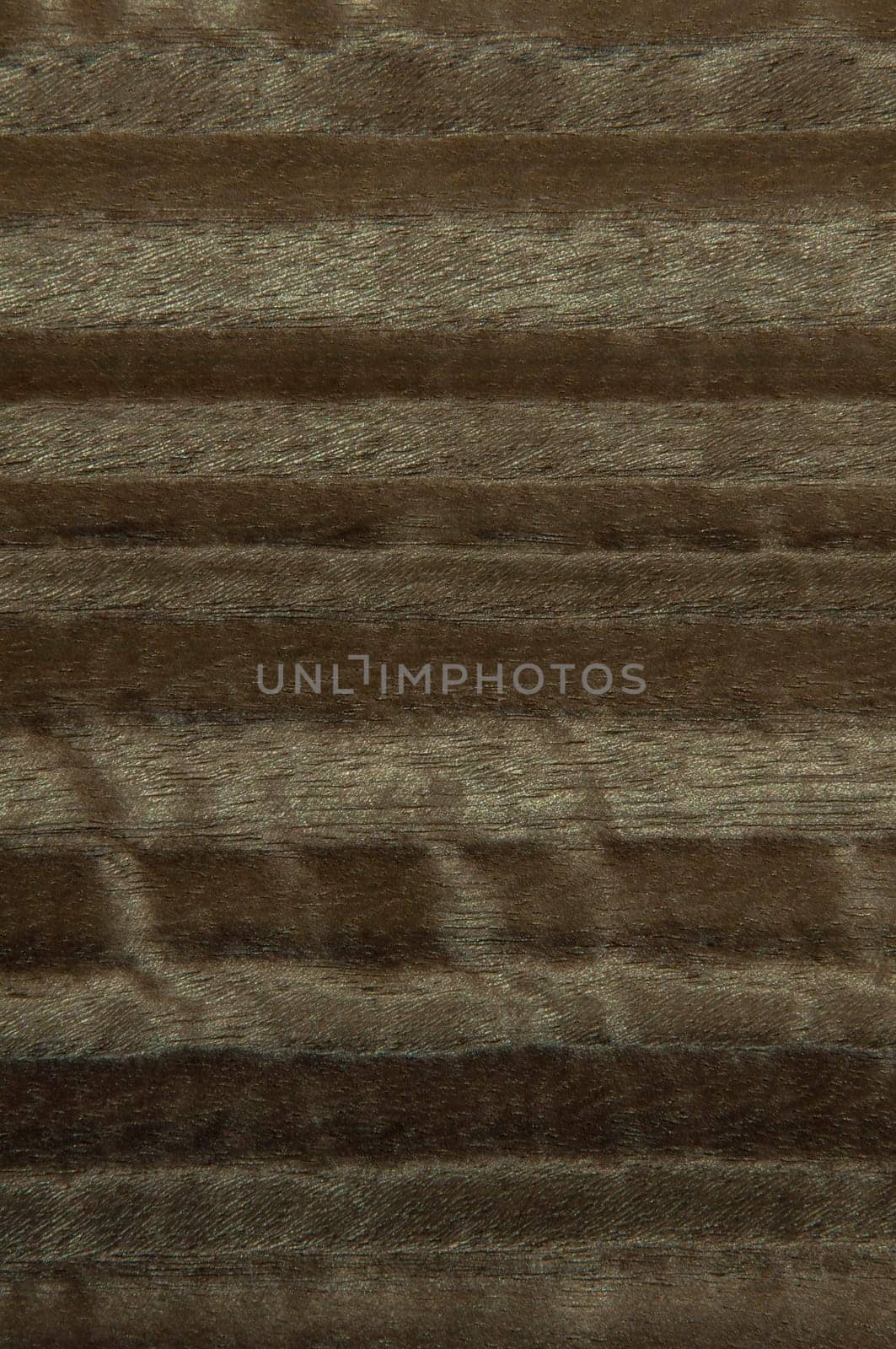a wood rustic exclusive texture