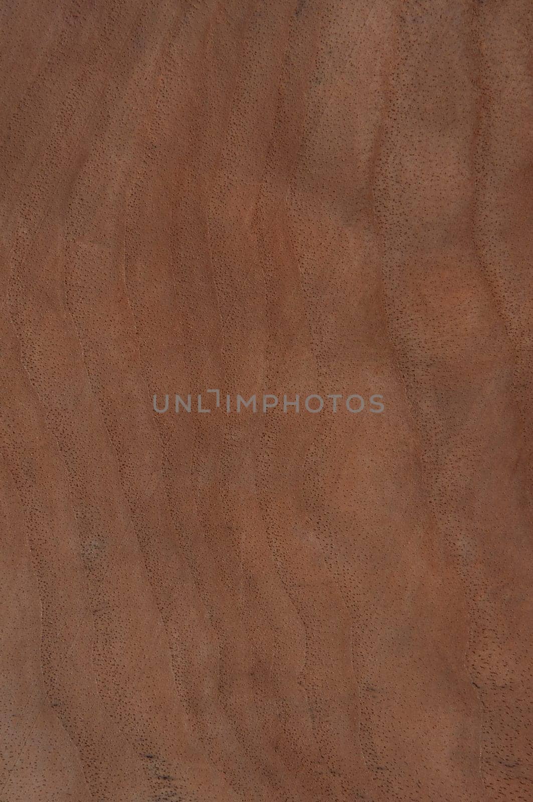 a wood rustic exclusive texture