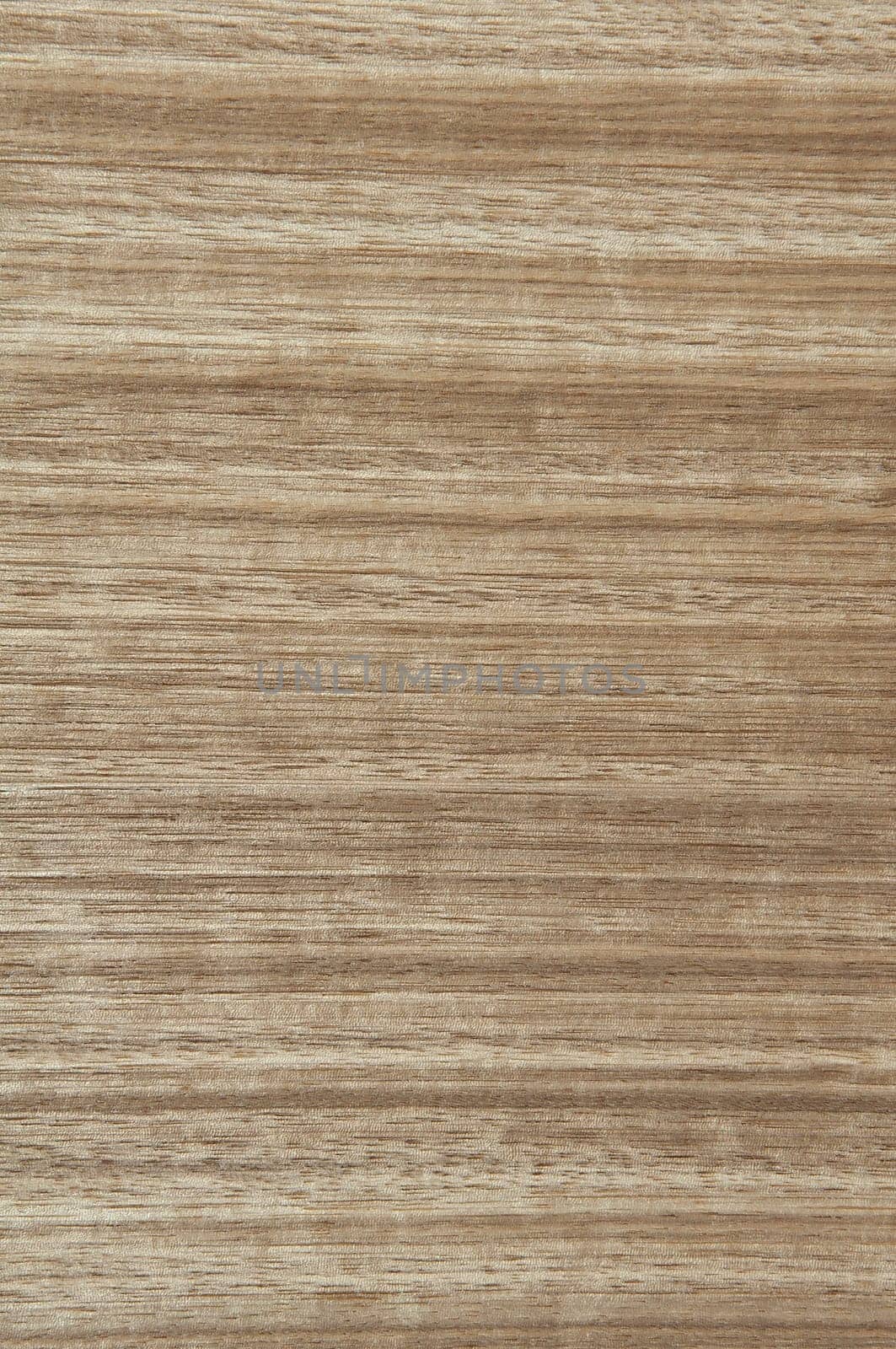 a wood rustic exclusive texture