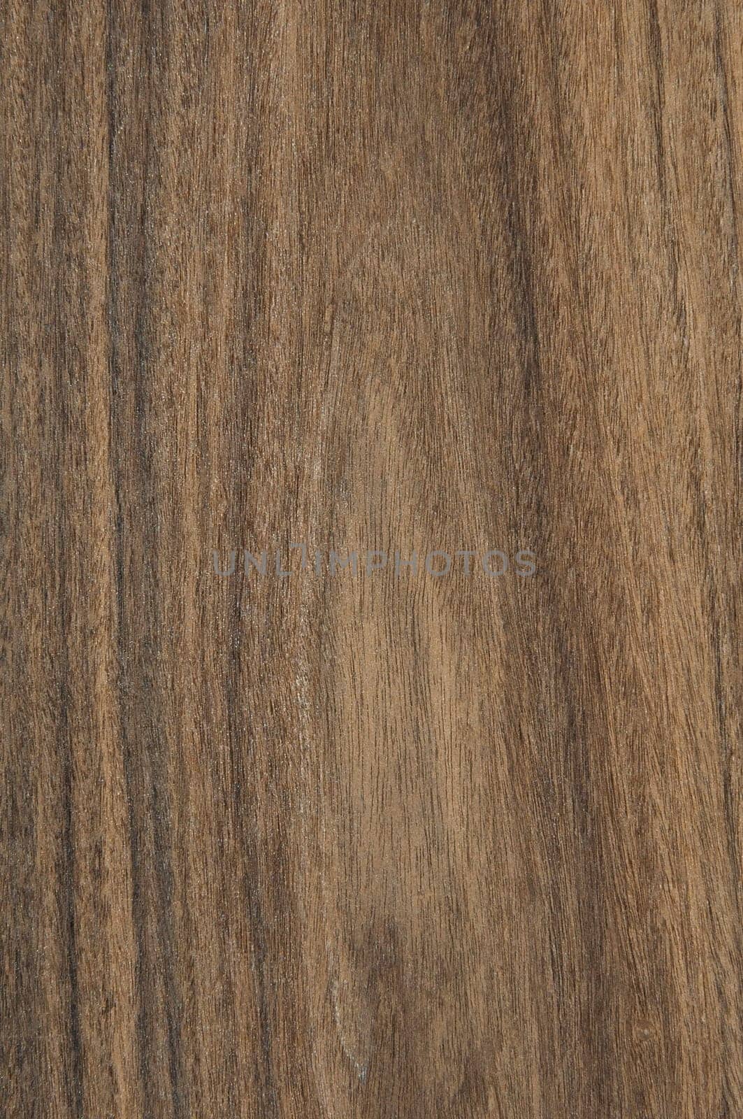 a wood rustic exclusive texture