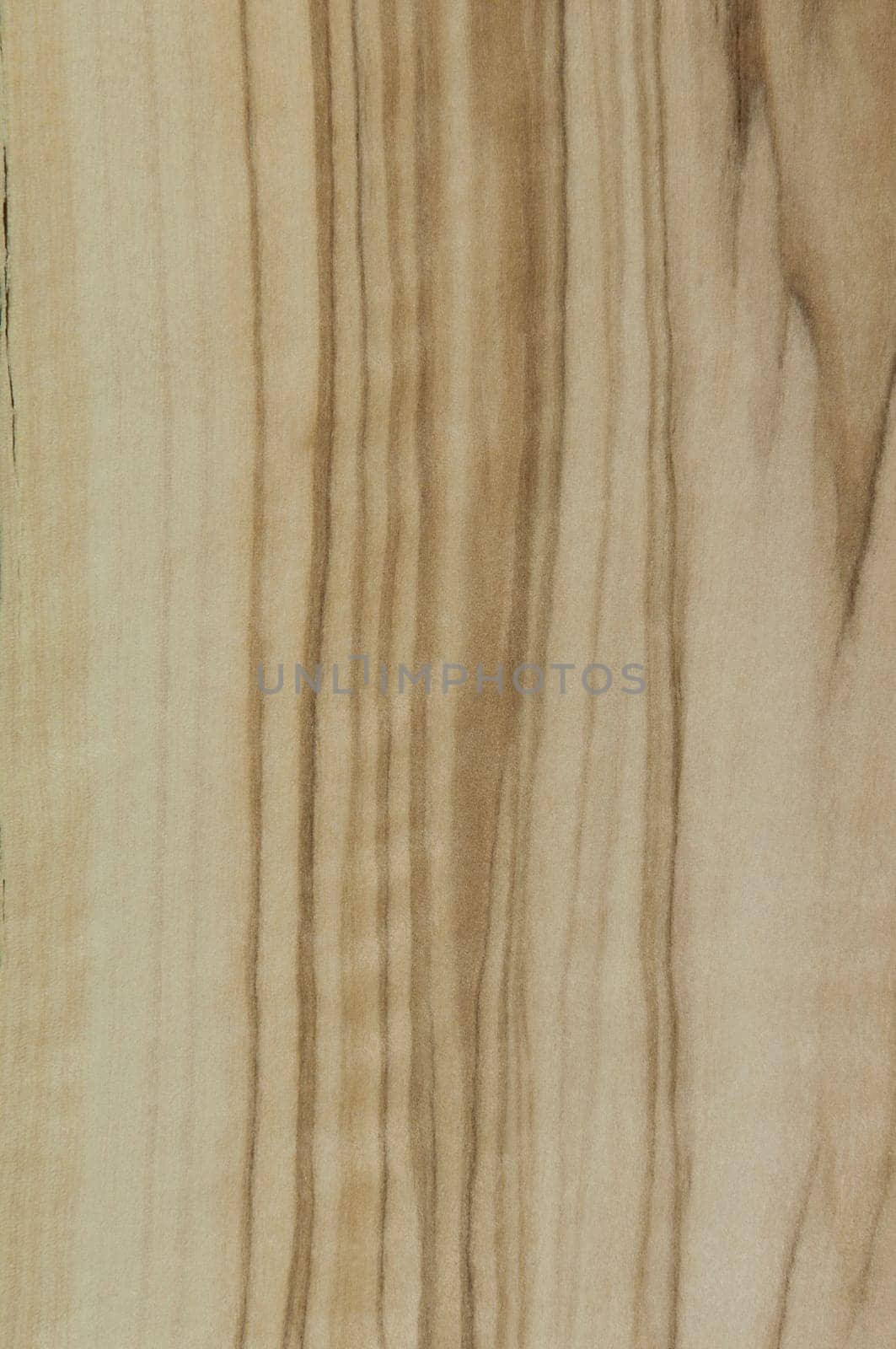 a wood rustic exclusive texture