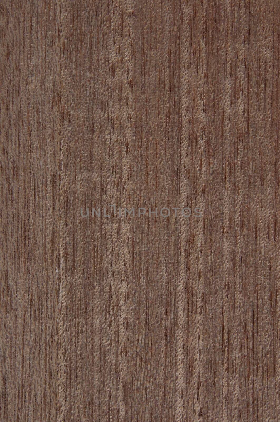 a wood rustic exclusive texture