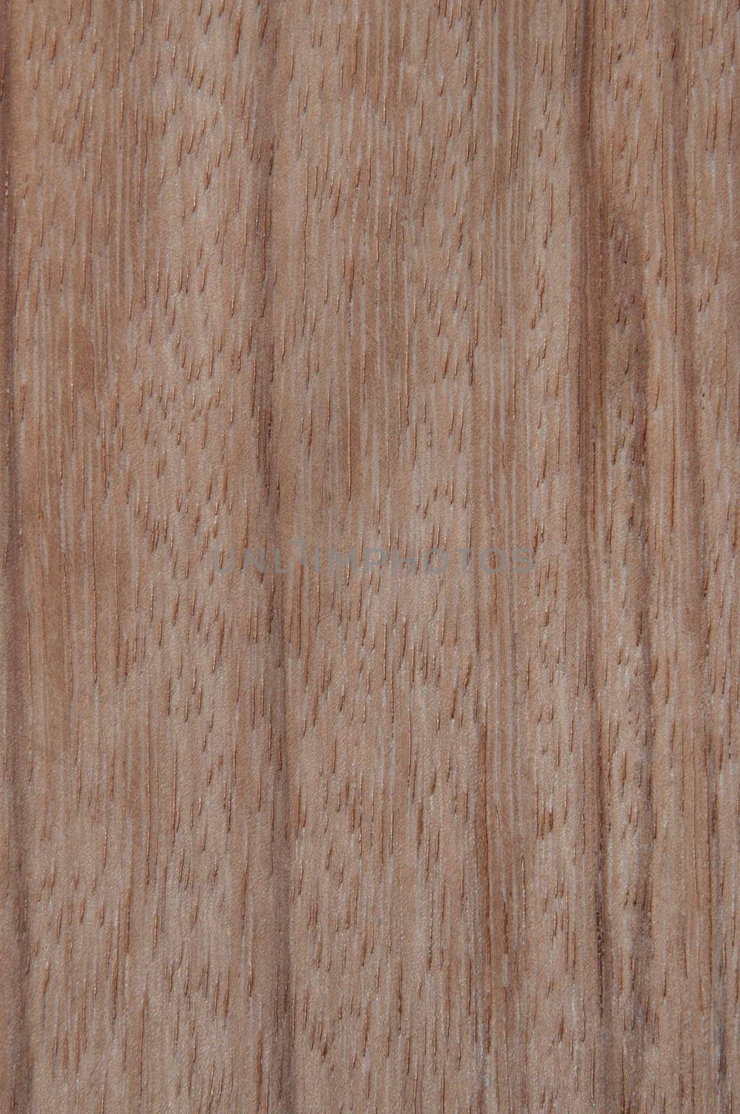 a wood rustic exclusive texture