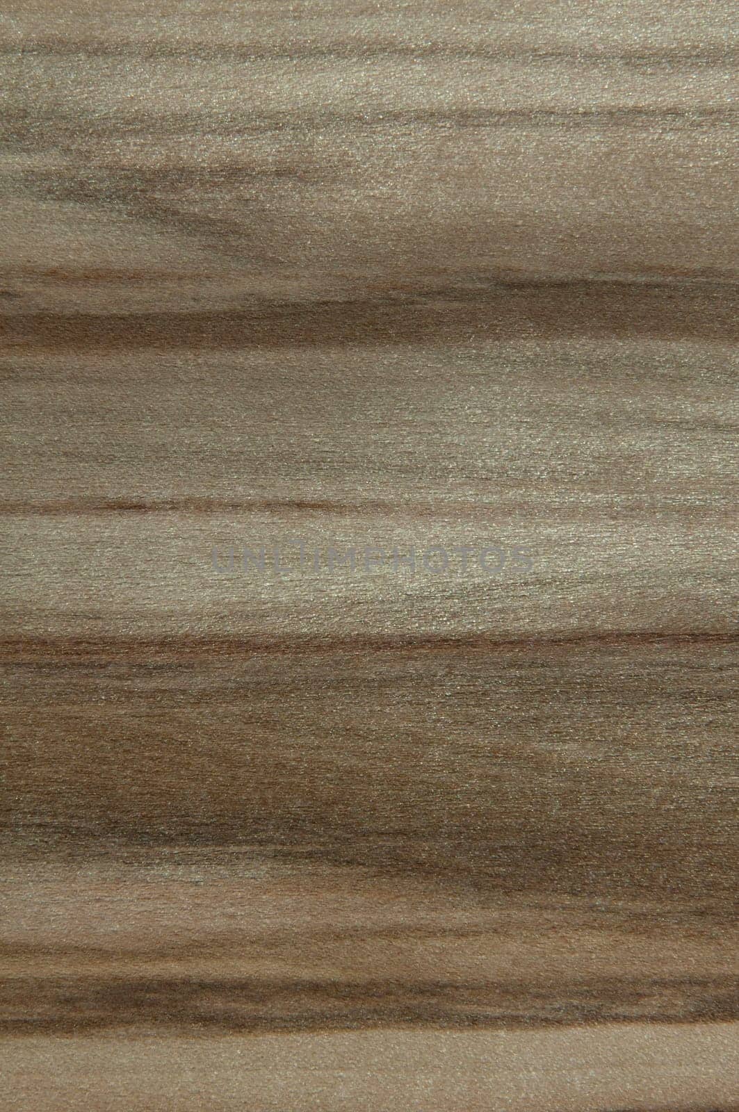 a wood rustic exclusive texture