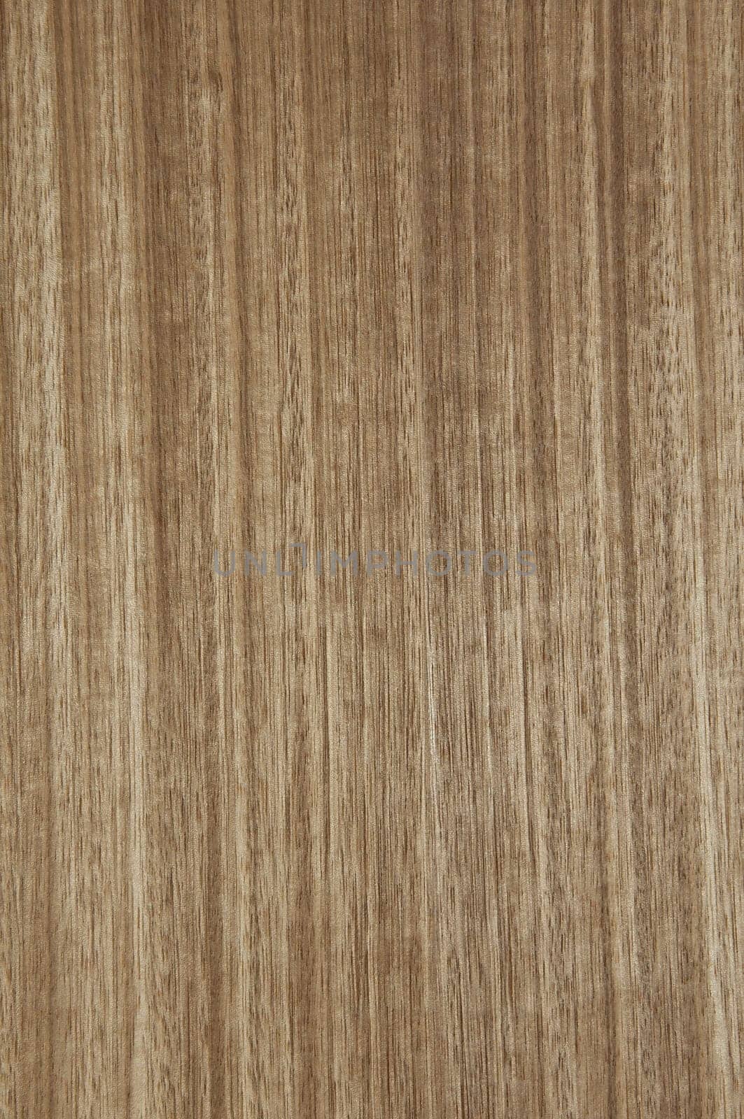 a wood rustic exclusive texture