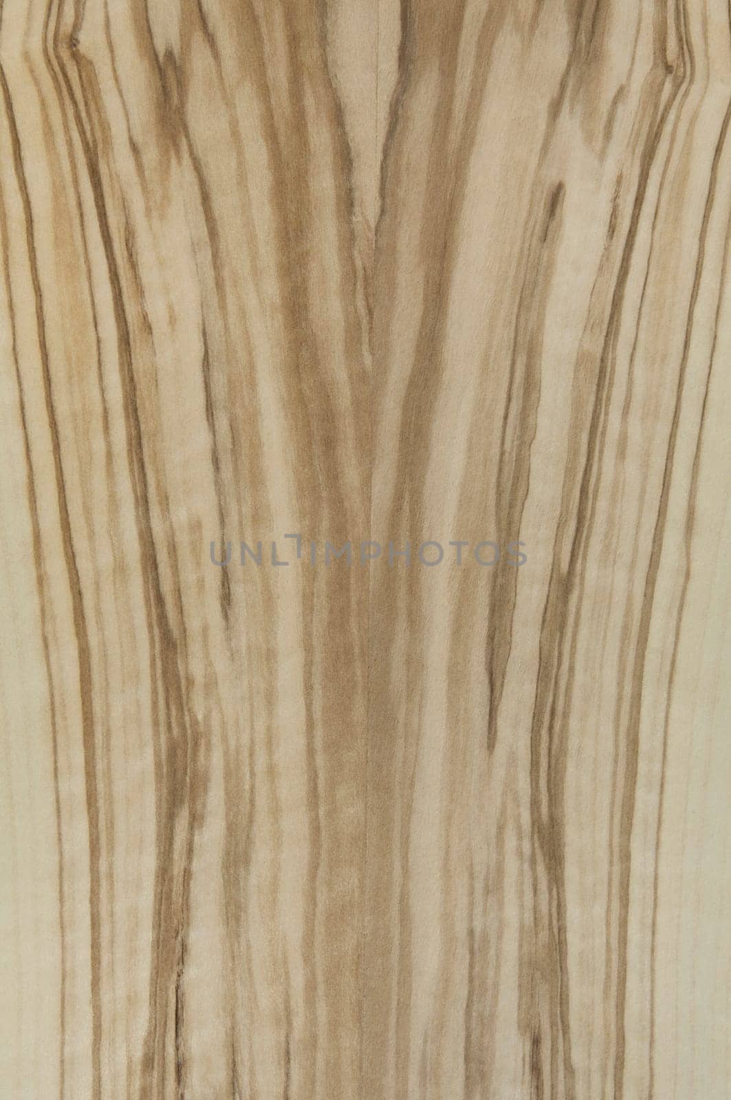 a wood rustic exclusive texture