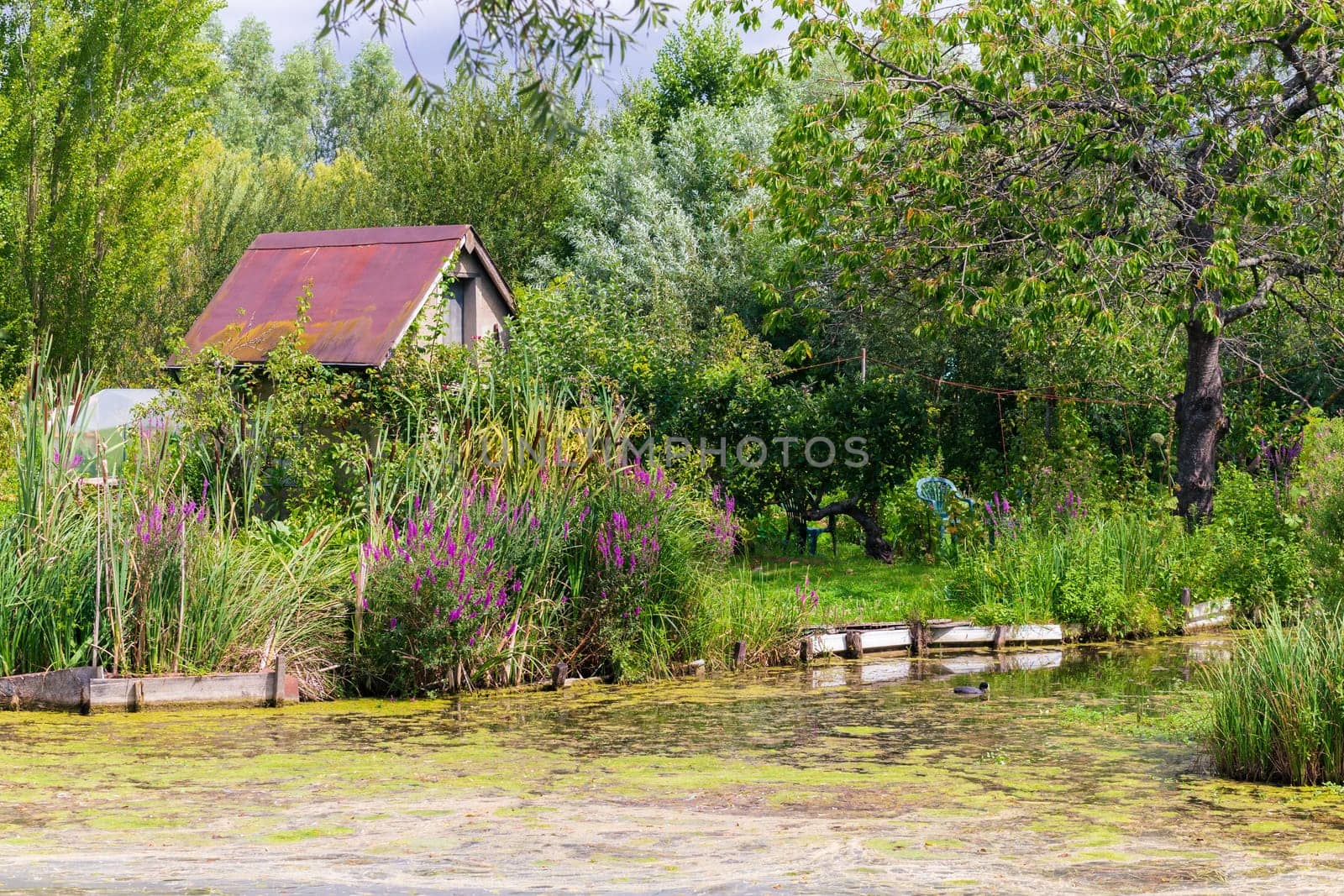 Marshes in Bourges, Berry province, Centre-Val de Loire, France