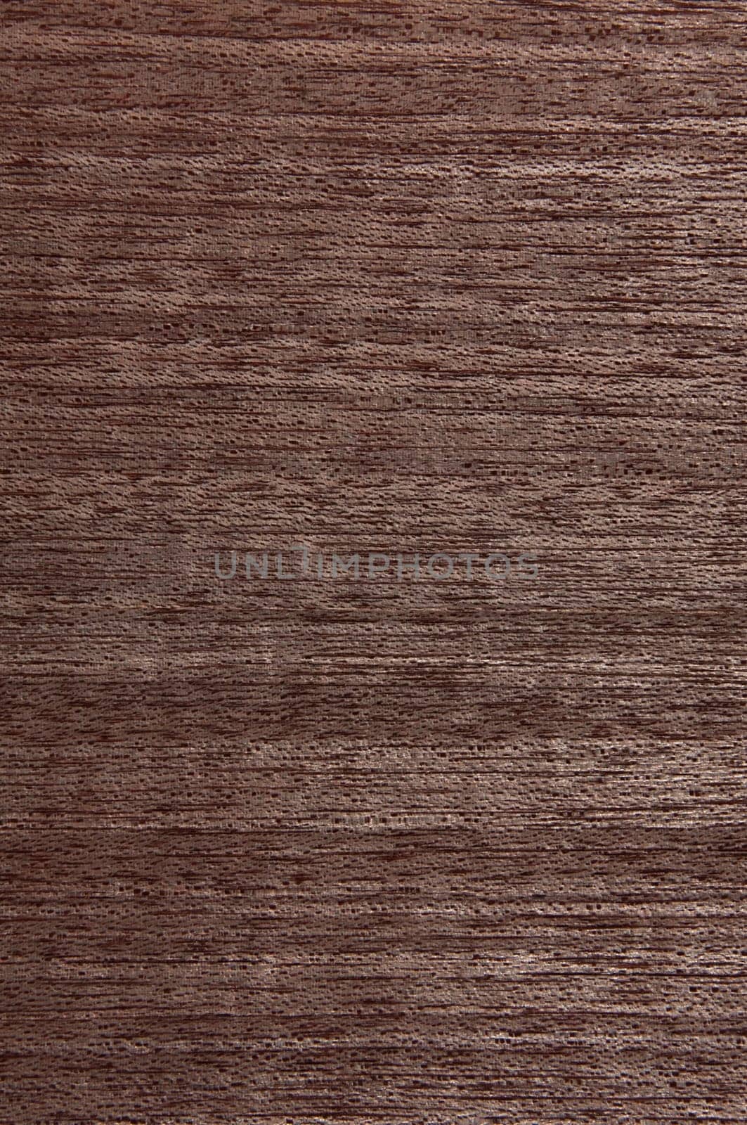 a wood rustic exclusive texture