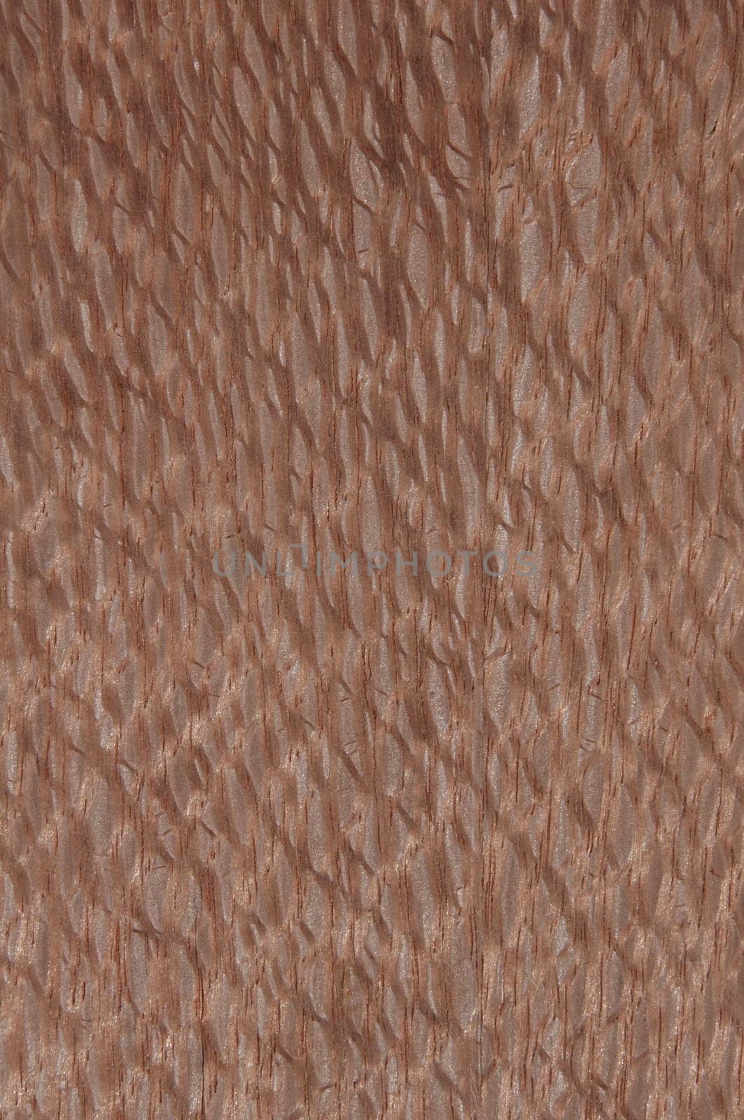 a wood rustic exclusive texture