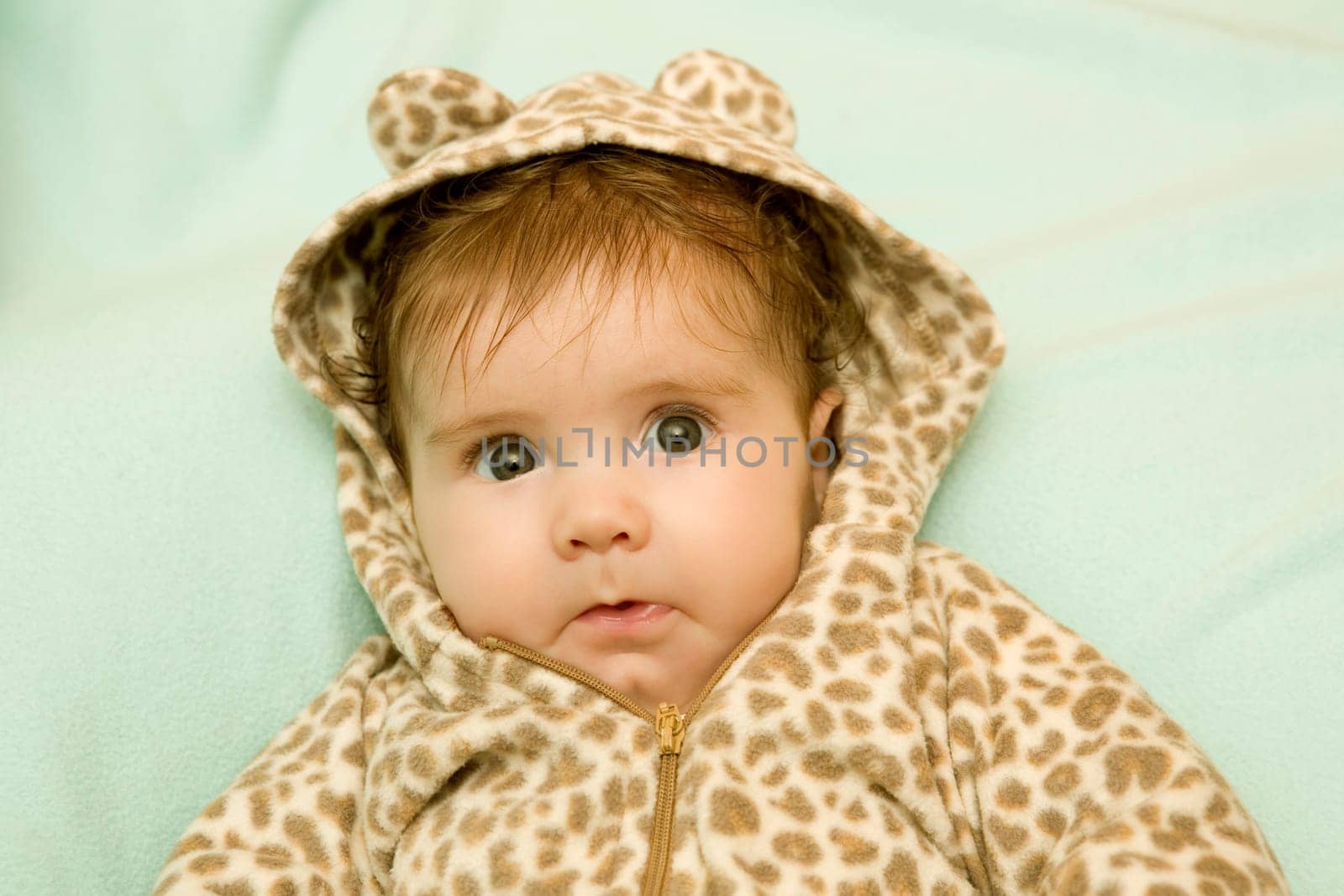 young baby portrait, studio picture