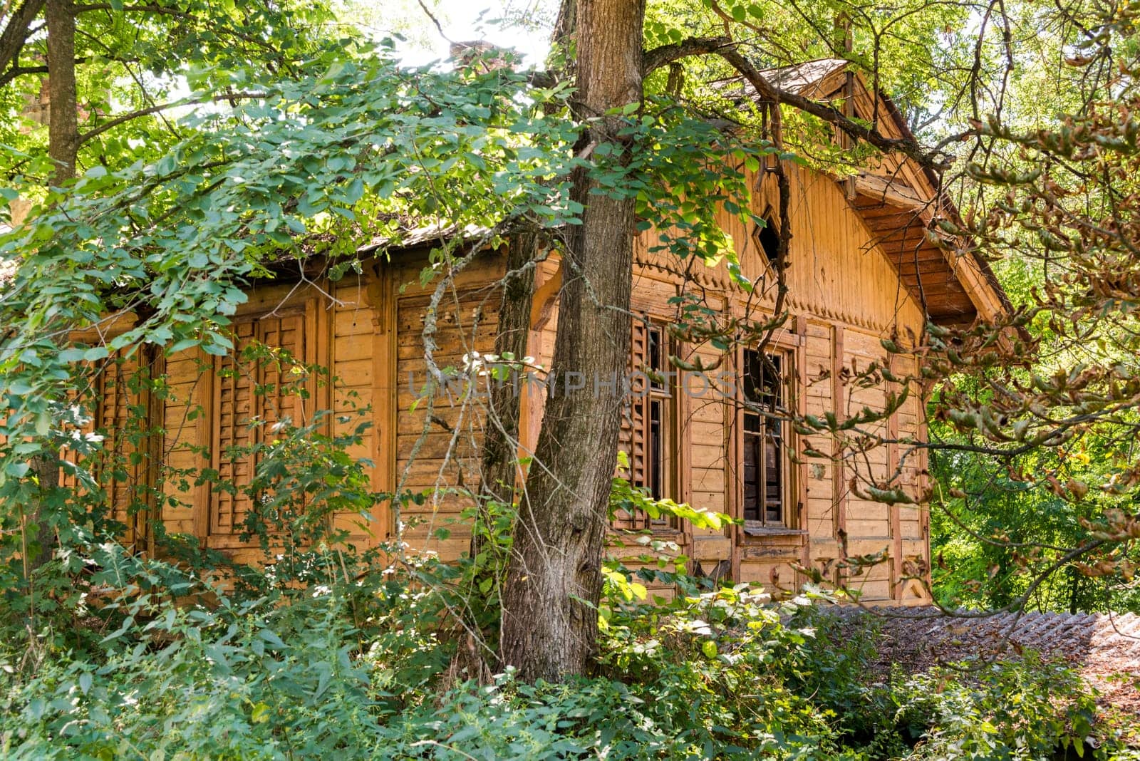 Wood cottage in ukrainian forest abandoned by people