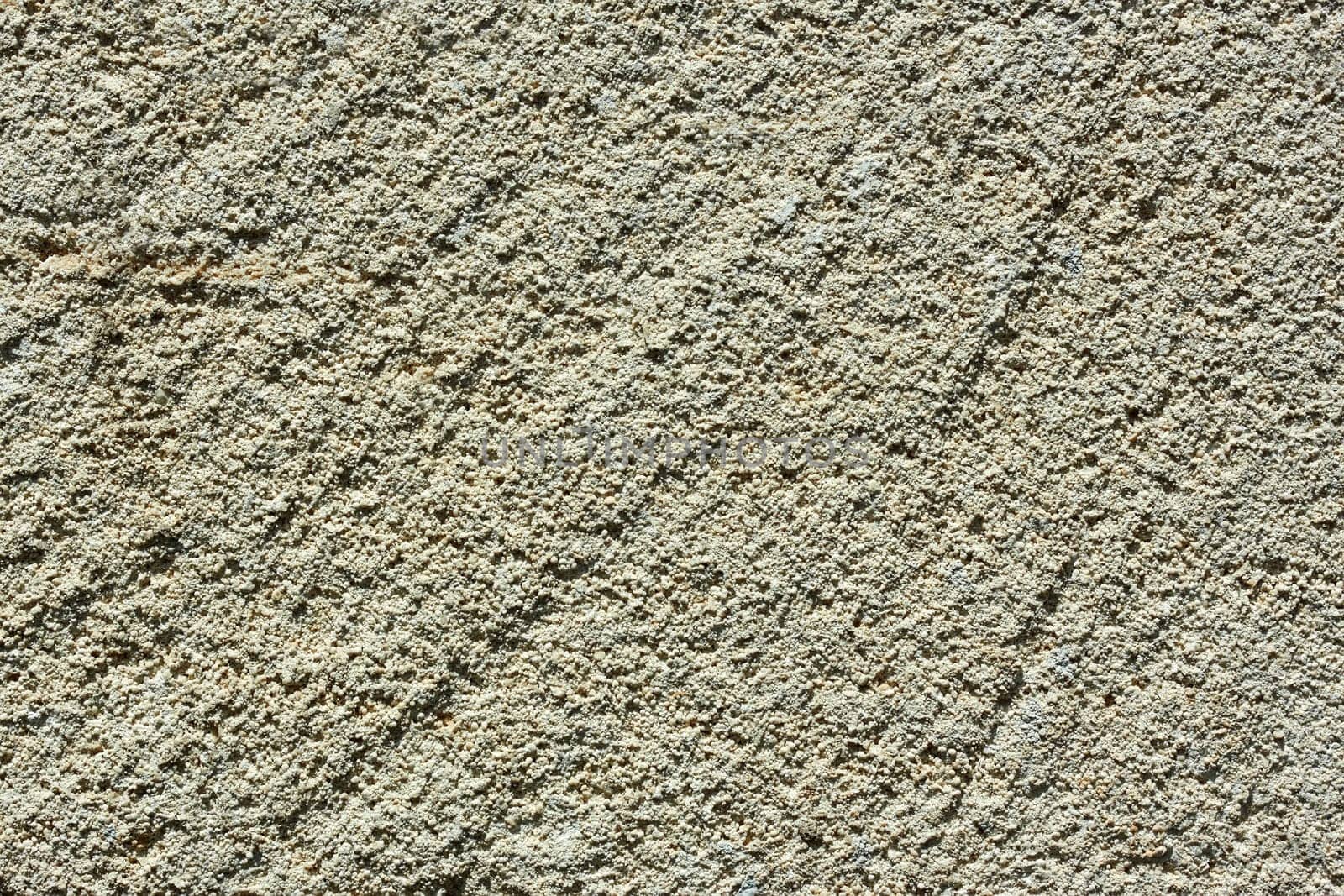 Detailed macro cutting of limestone with many small petrified shells