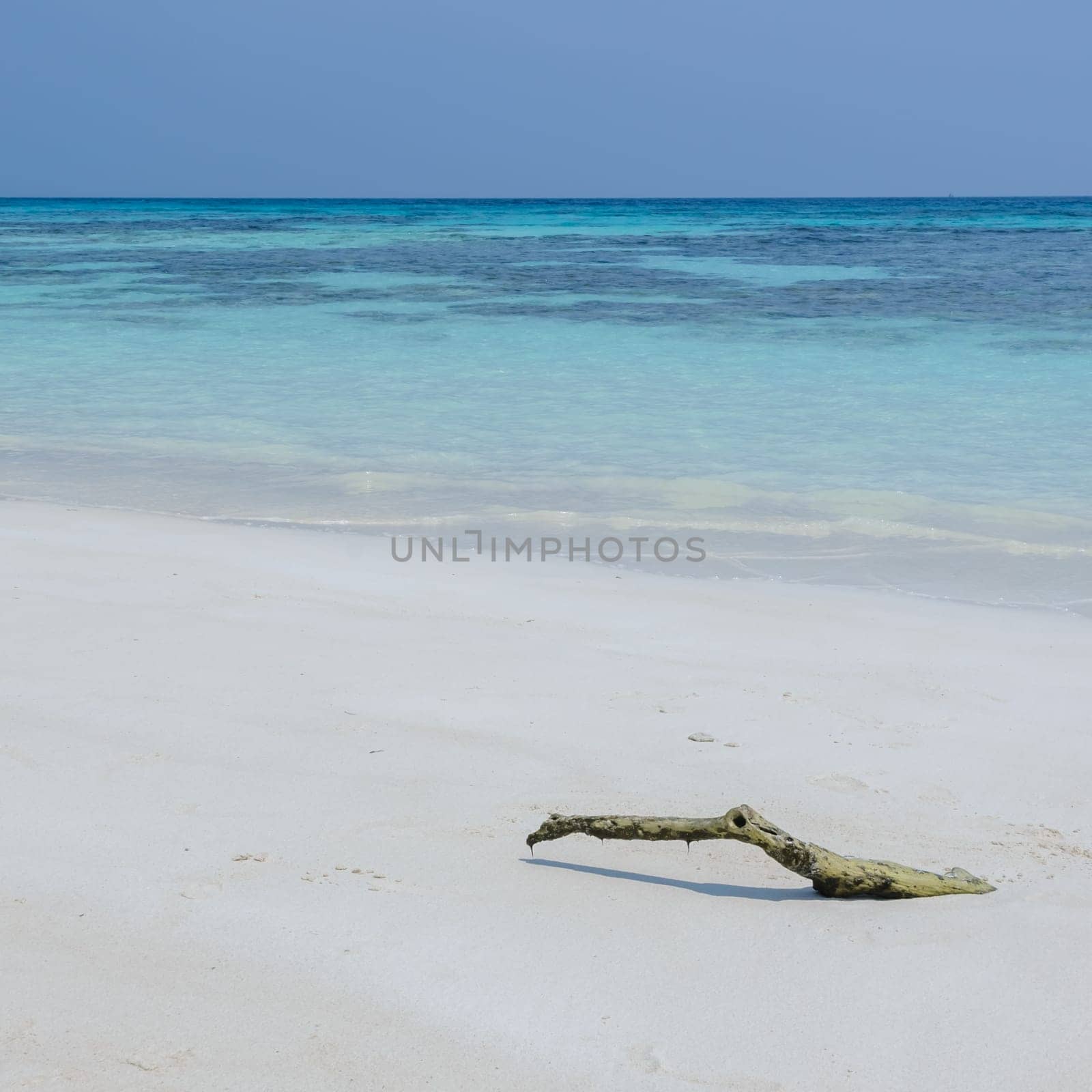 Beautiful white sand beach and crystal clear water of Koh Tachai, Similan National Park, Thailand
