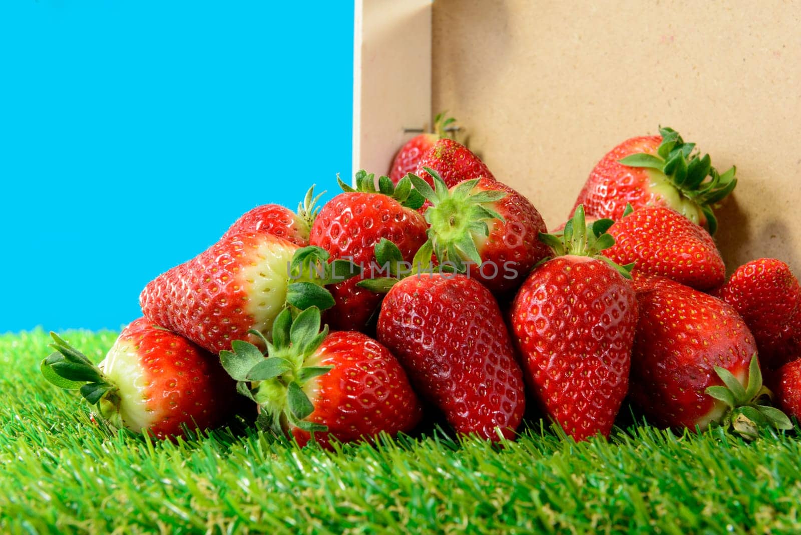several strawberries on green grass with bright colors