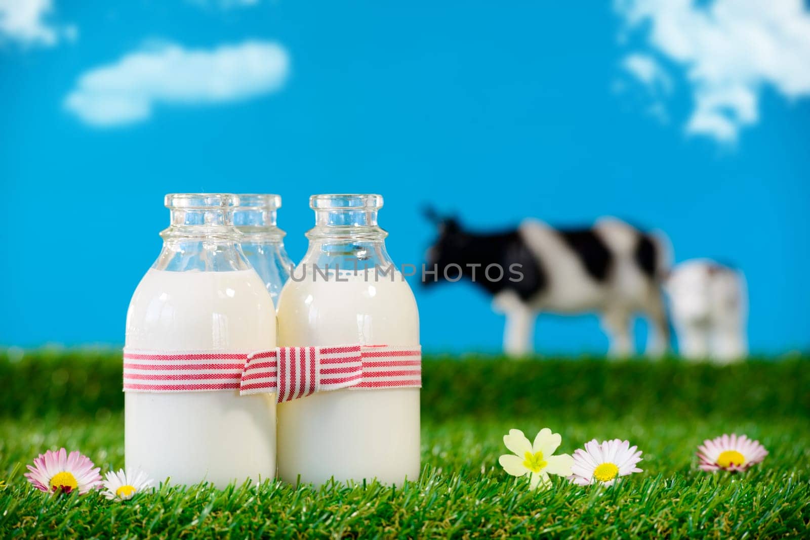 three small bottles of milk in a meadow with cow