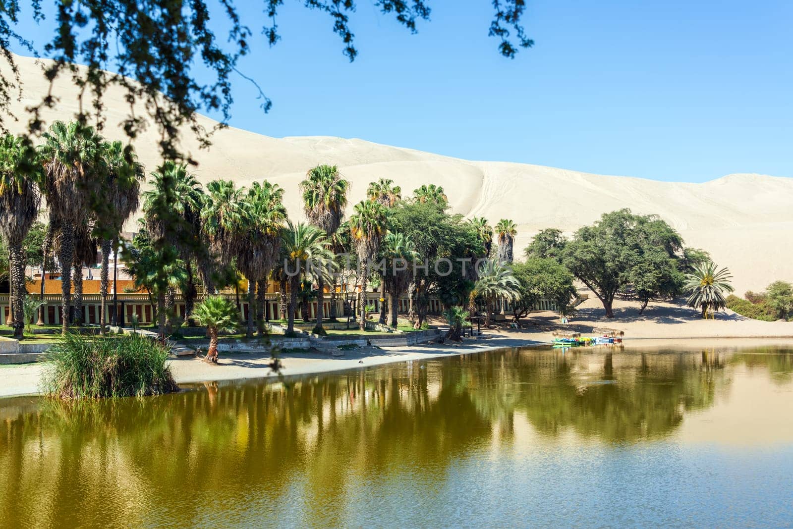 Oasis of Huacachina, Peru with sand dunes in the background