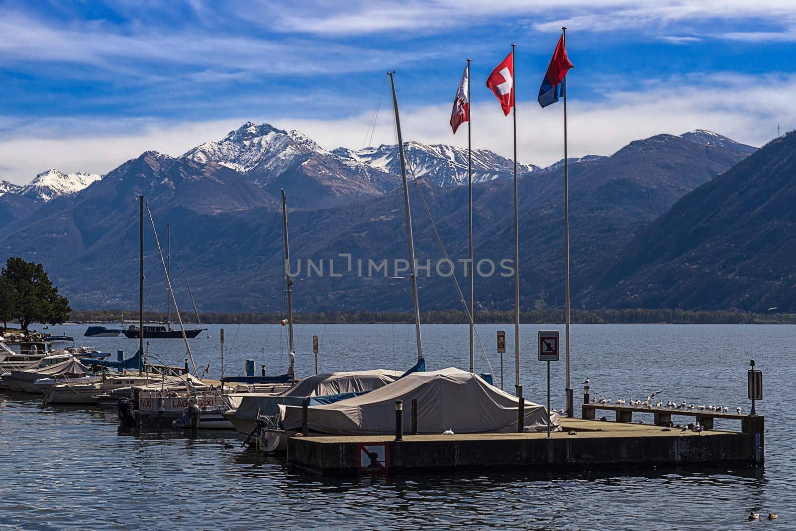 At the marina of Locarno