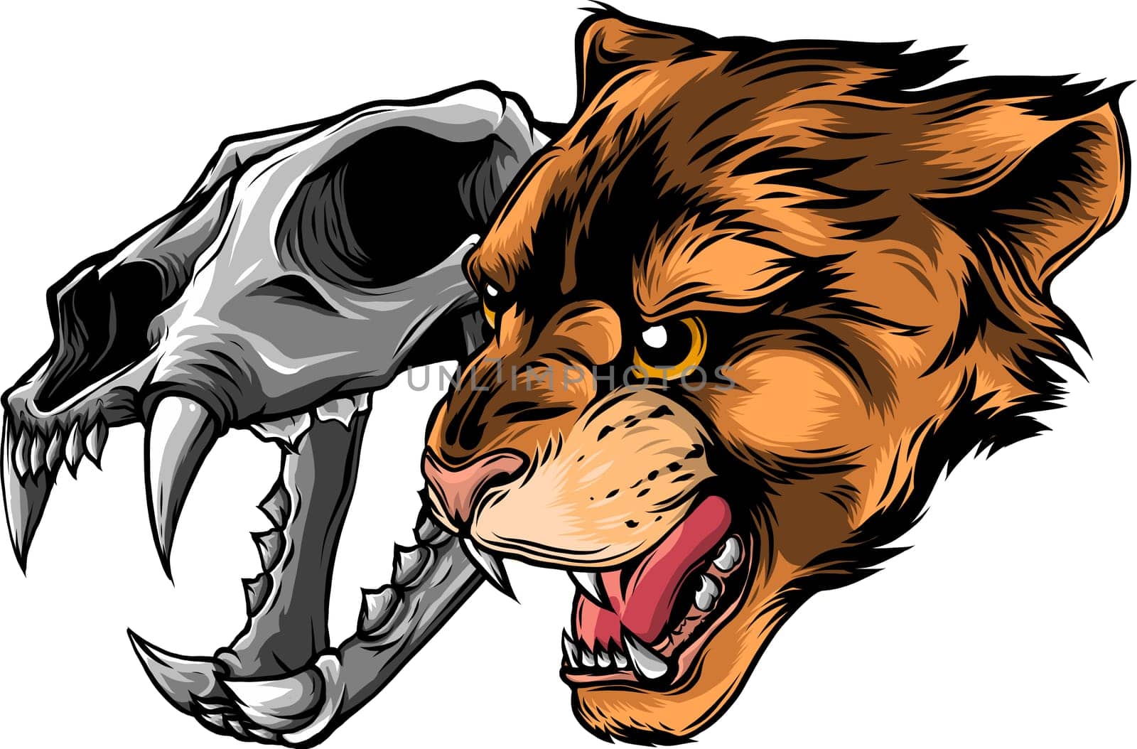 Cougar Panther Head with skull Vector