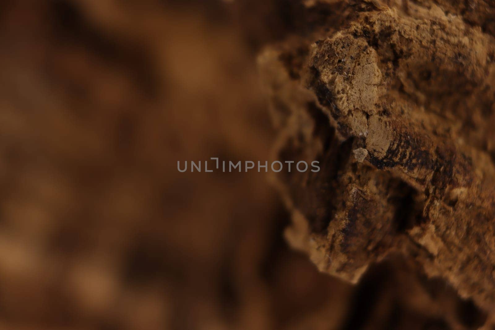 cork natural bark industry macro abstract background cork