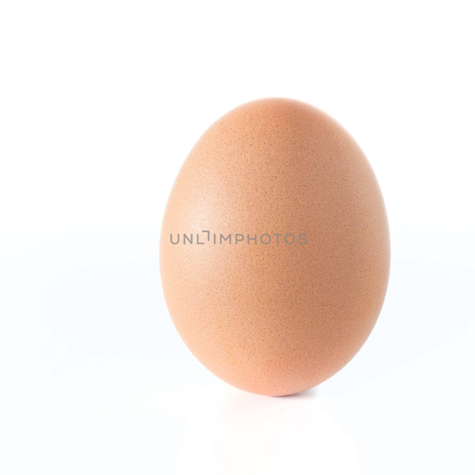 Chicken egg isolated on white background. Copy space.