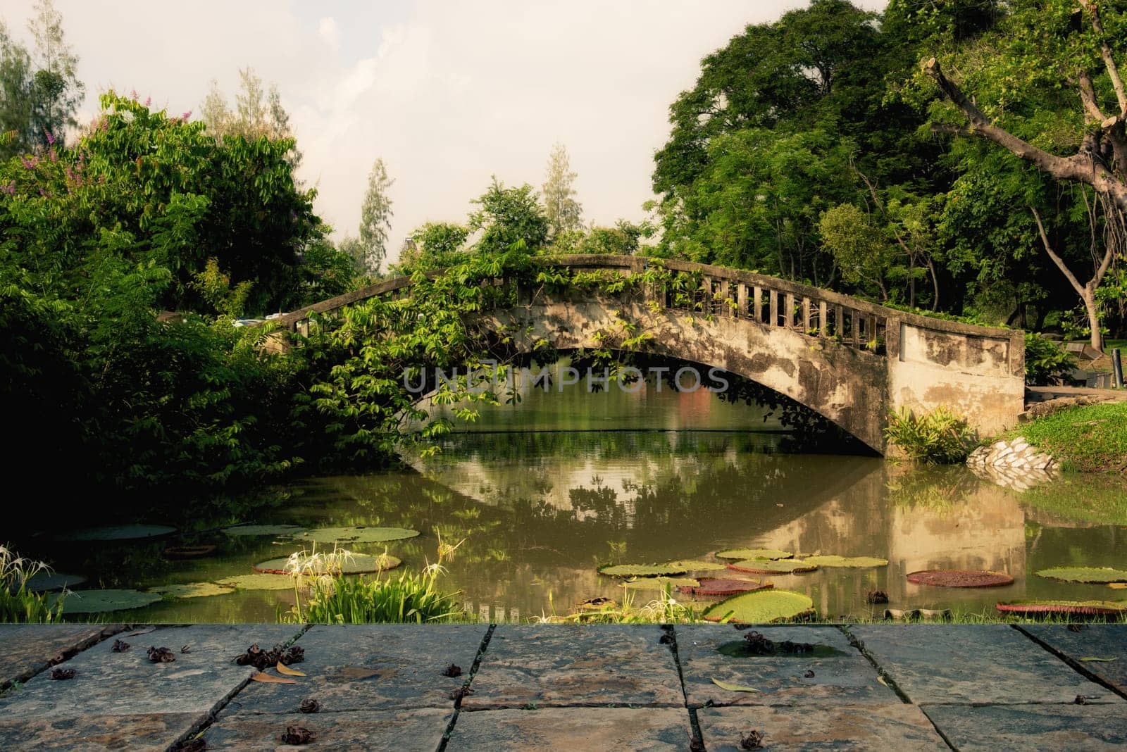 The park with the sunrise