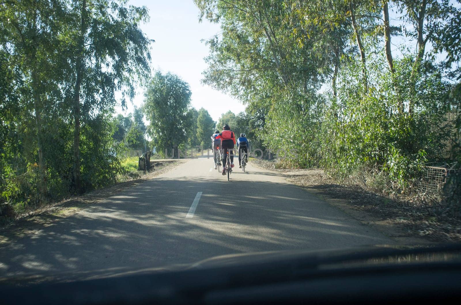 Driving slowly behind cyclists at country wooded road. View from the inside of the car