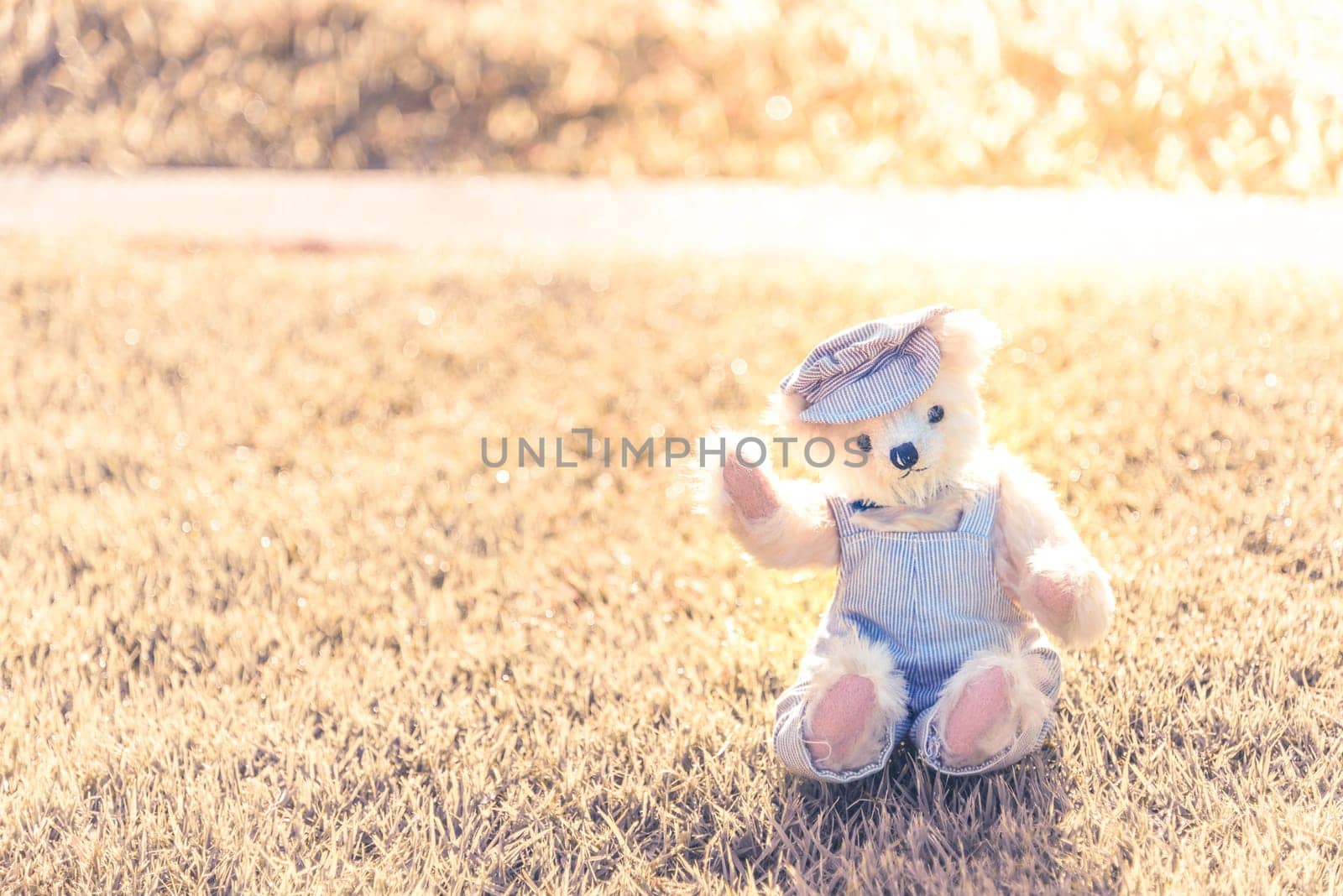 Teddy bear sitting in the park. family Concept.