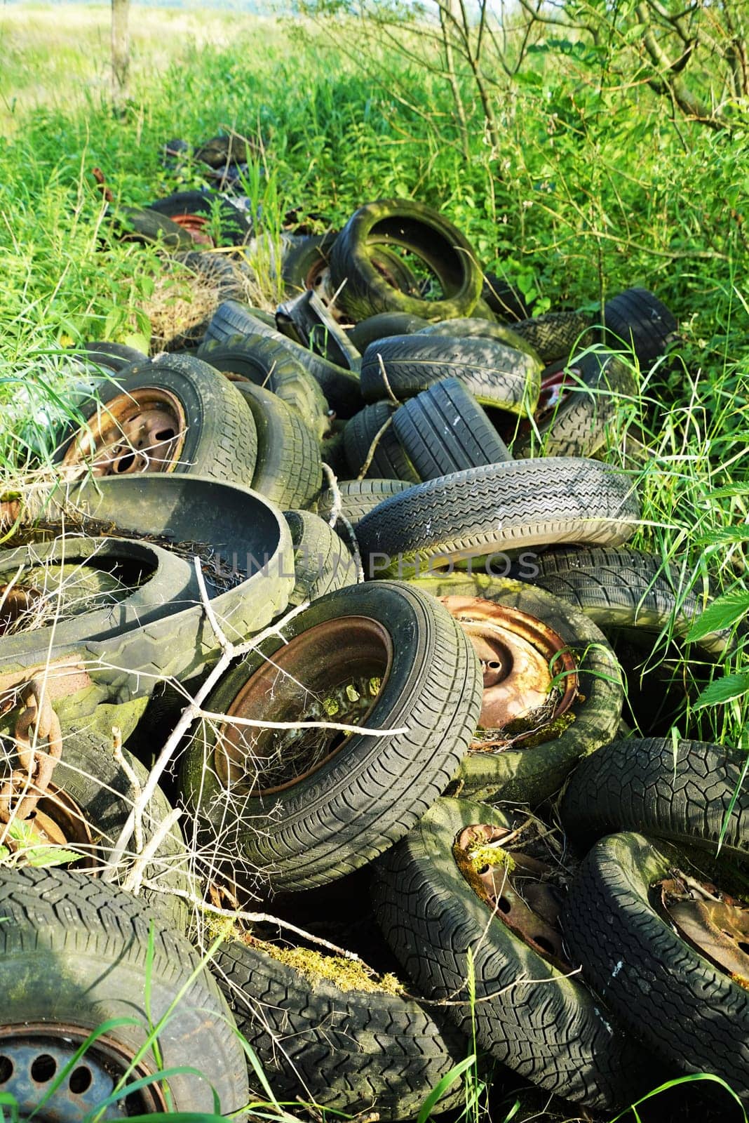 Old car tires dumped on a forest property