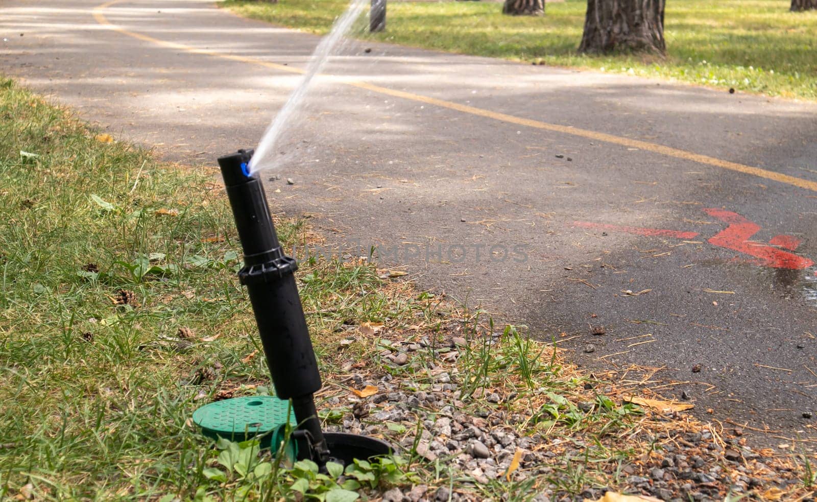 Lawn irrigation system working in a green park. Spraying the lawn with water in hot weather. Automatic sprinkler. The automatic watering sprinkler head watering the lawn. Smart garden