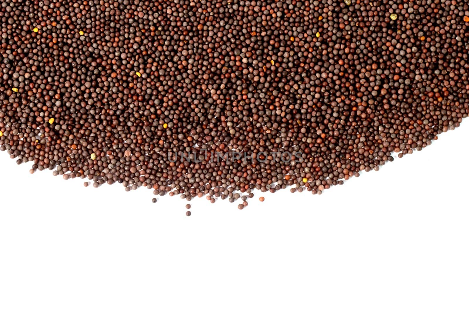 Brown Mustard Seeds on a white background