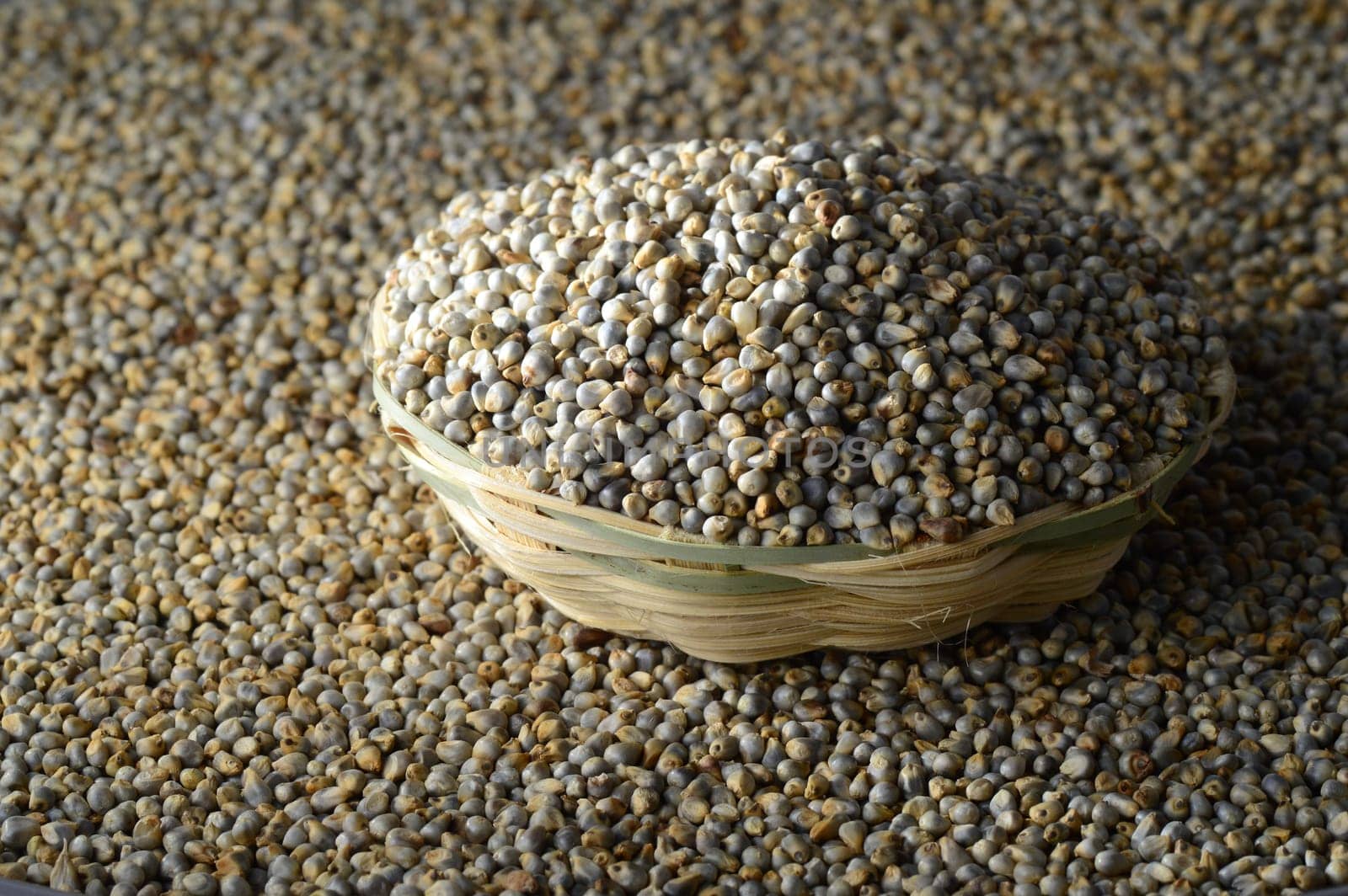 Bajra (Pearl millet) in wooden (bamboo) basket