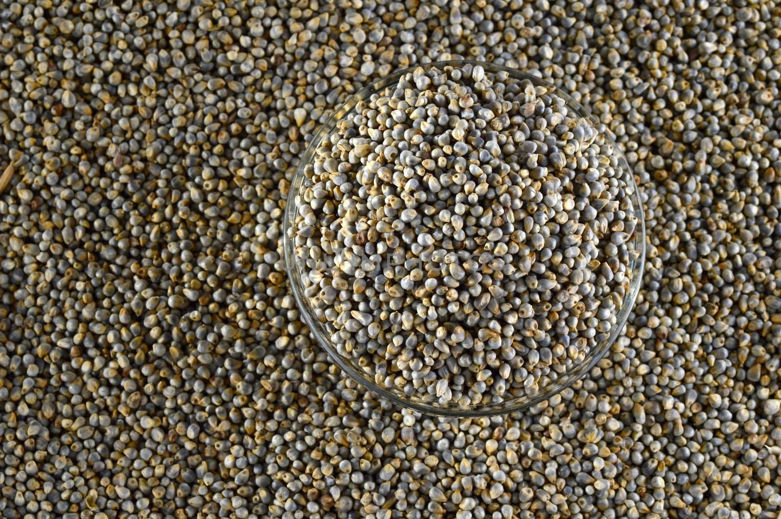 Bajra (Pearl millet) in glass bowl