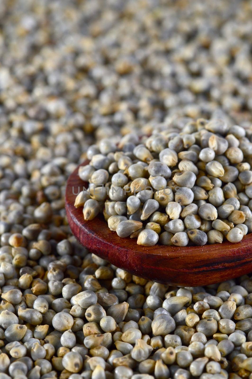 close up of Pearl Millet (Bajra) with wooden spoon.