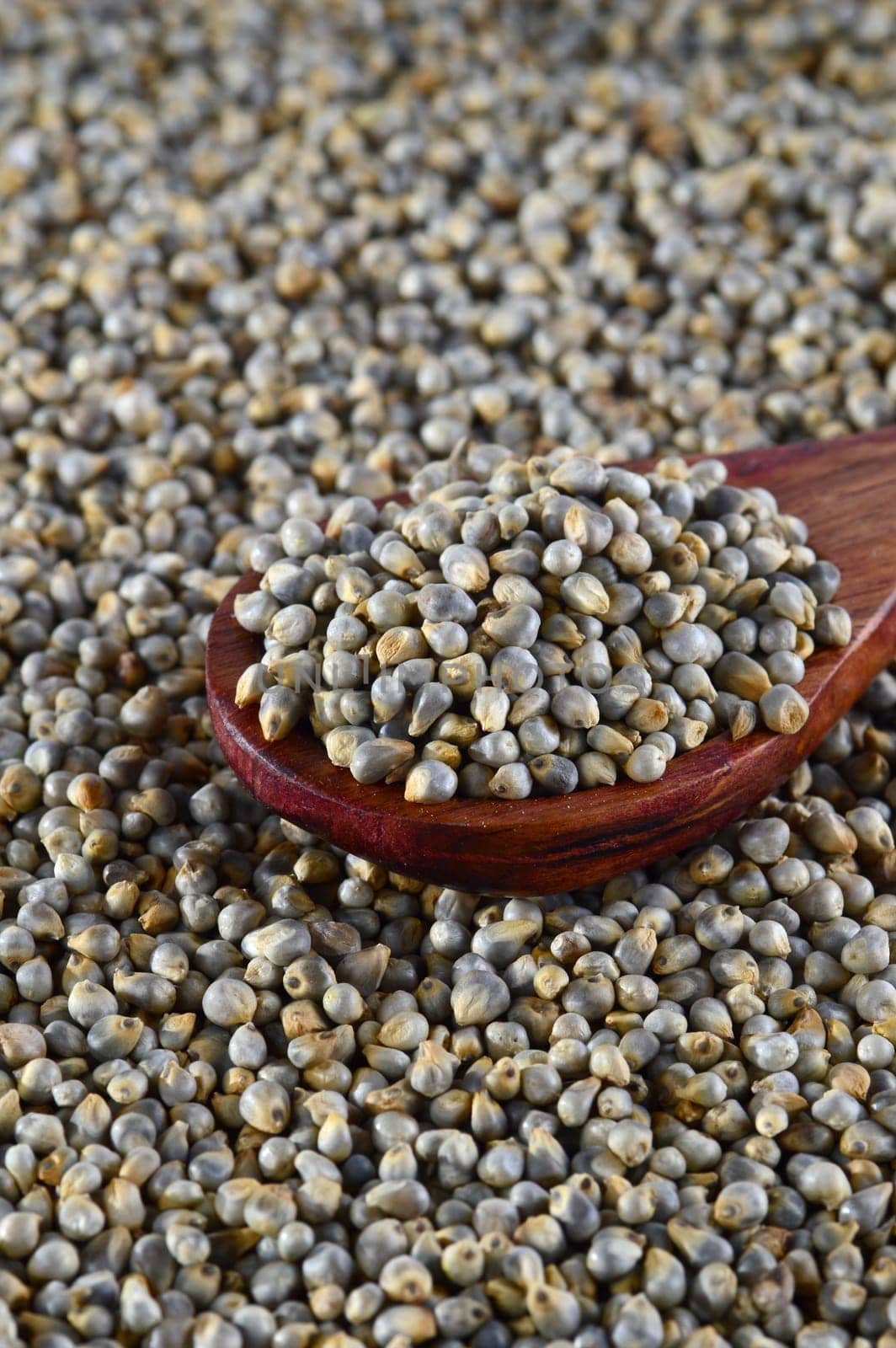 close up of Pearl Millet (Bajra) with wooden spoon.