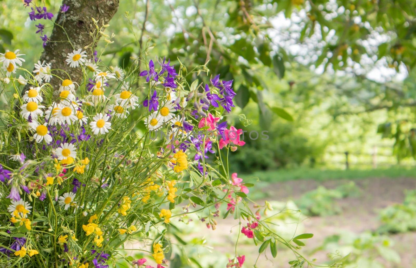 View of a mixed bouquet of wildflowers on a wooden table in the garden. Summer or spring day. Beautiful floral background. Copy space