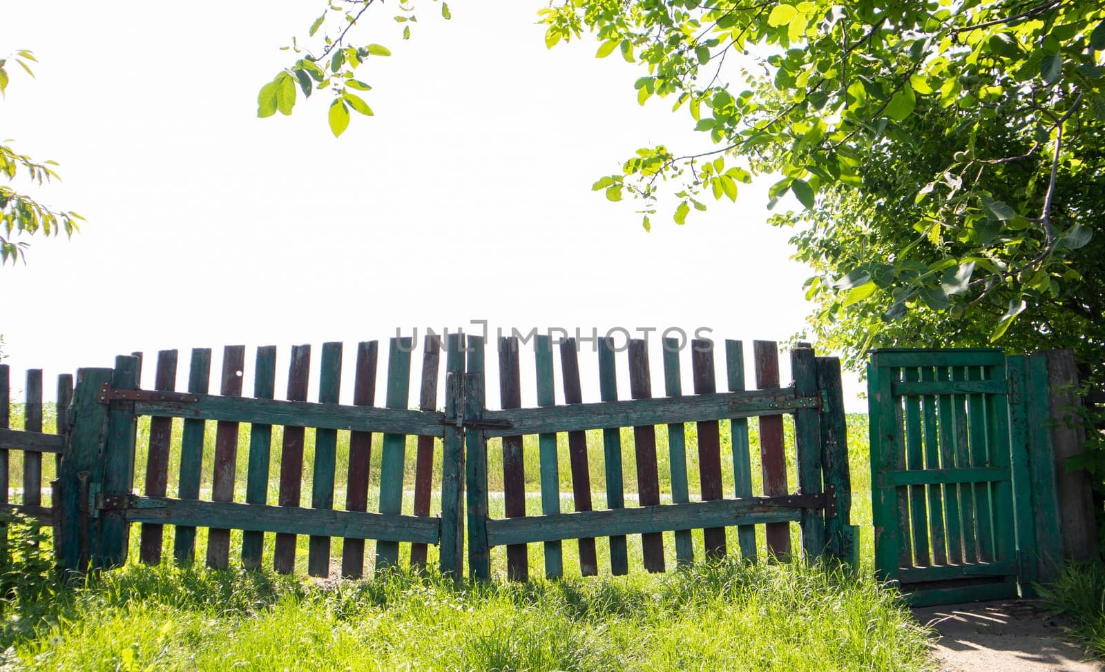 Scenic view of the old wooden gate with trees in the garden and a green lawn on a summer sunny day