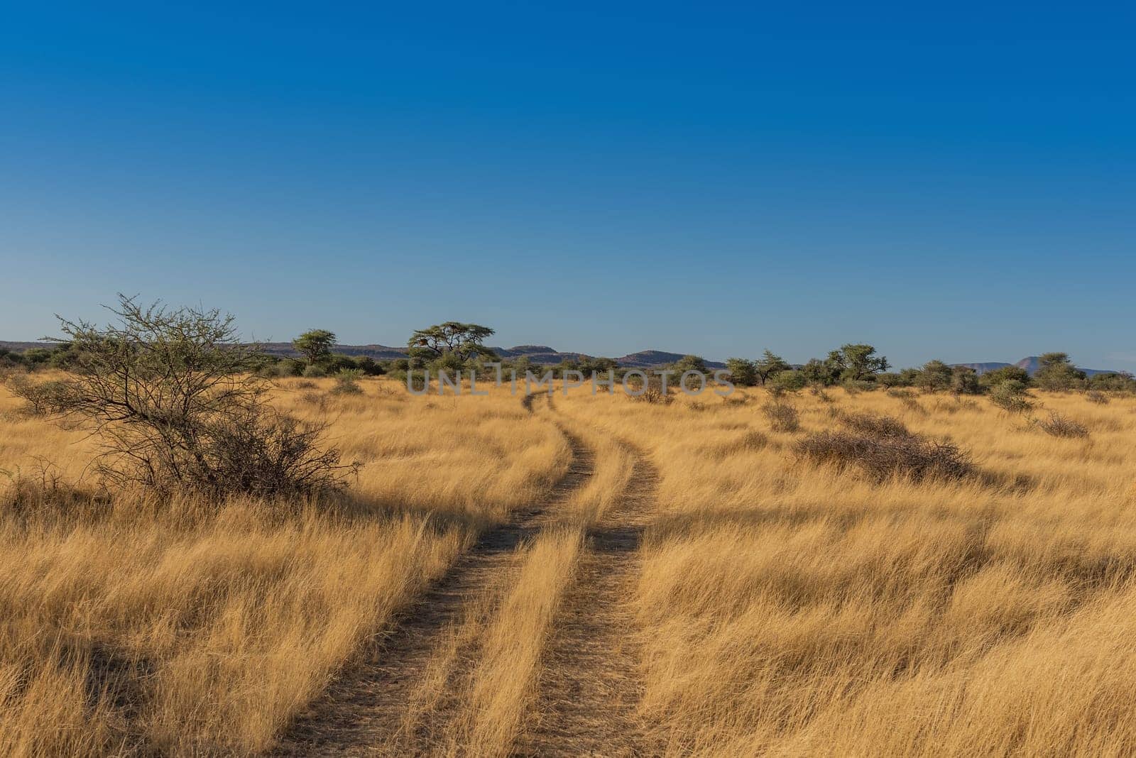 landscape on the grounds of the Ovita Wildlife Restcamp, Okahandja, Namibia