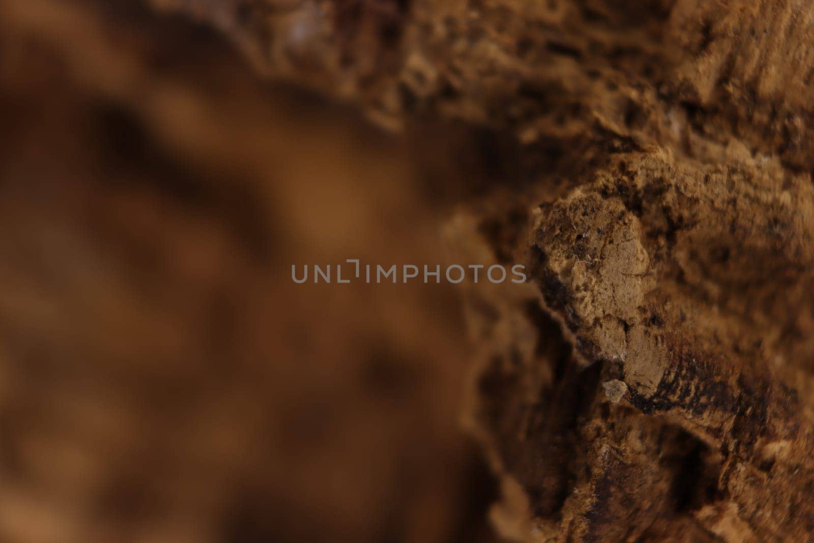 cork natural bark industry macro abstract background cork