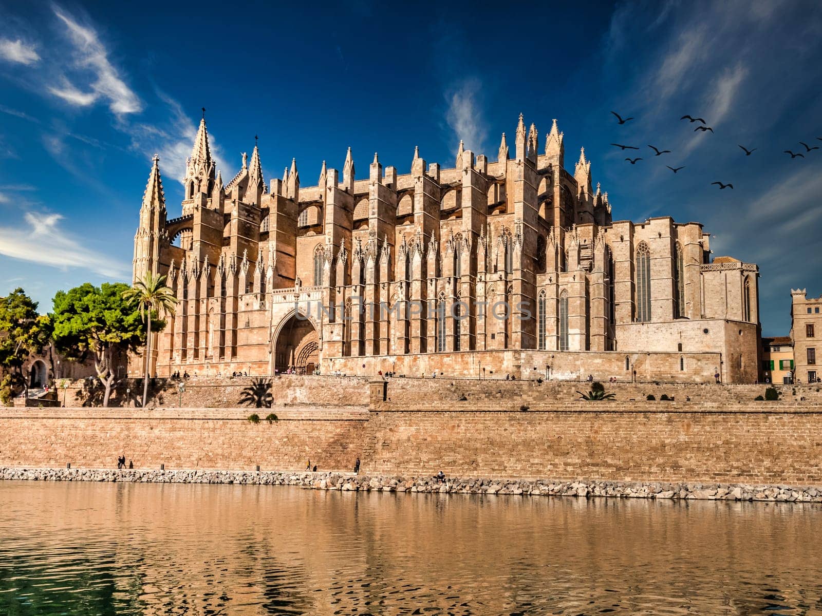 Palma Cathedral santa maria from the left side with clear sky and birds flying, daylight, Majorca Mallorca