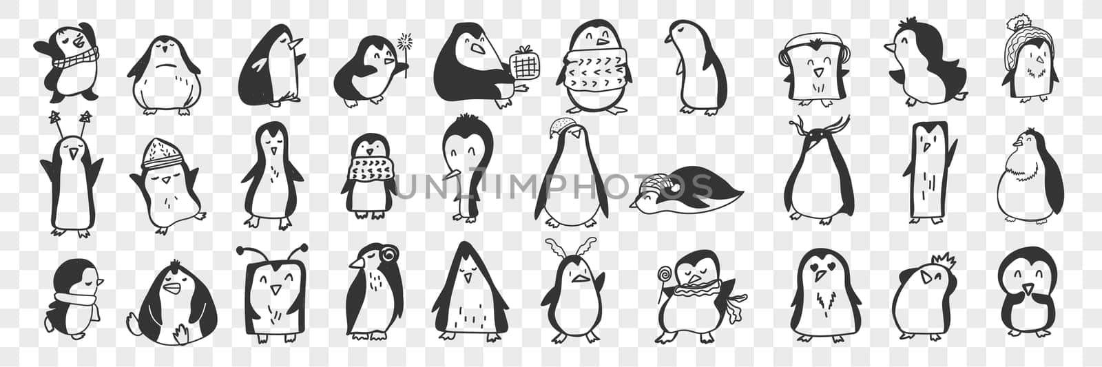 Penguin doodle set. Collection of funny hand drawn cute penguins animals in accessories doing everyday things enjoying life isolated on transparent background. Illustration for kids