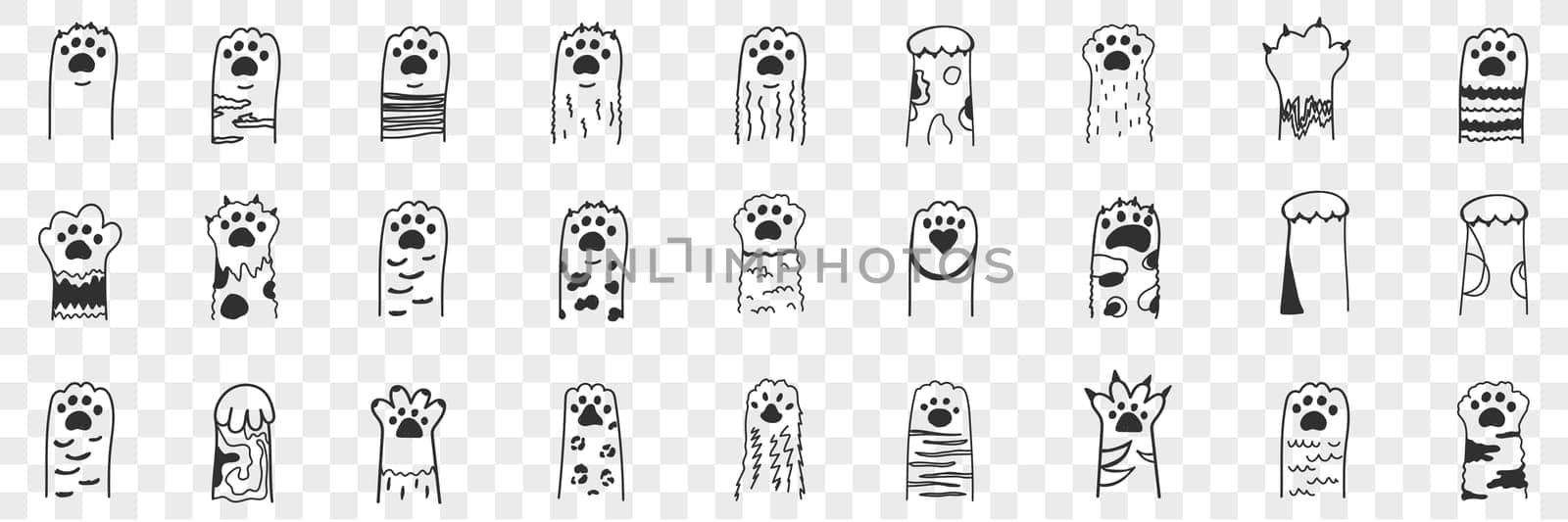 Animal paws doodle set. Collection of hand drawn funny cute animal paws with claws with various animal collars and patterns in rows isolated on transparent background. Illustration of paws for kids