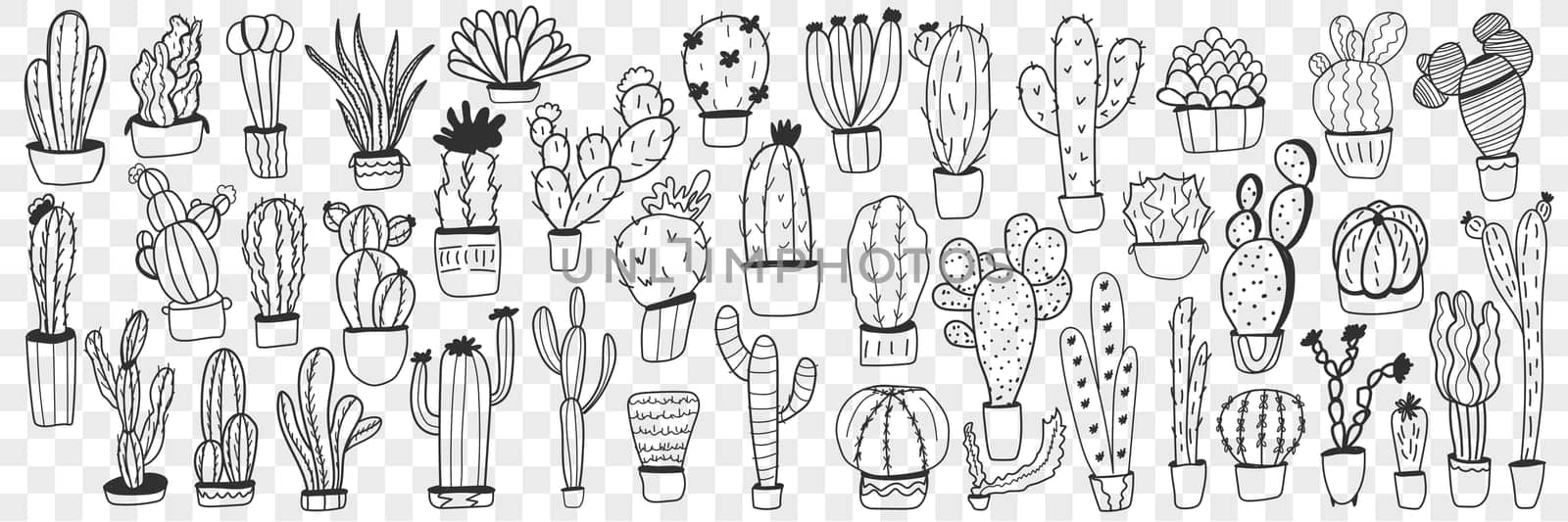 Cactus in pots doodle set. Collection of hand drawn various cactus plants in pots for home growing isolated on transparent background. Illustration of exotic mexican plants for care at home