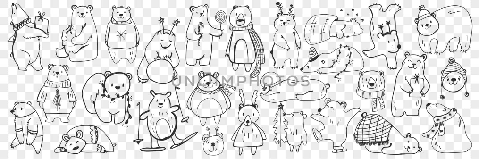 Polar and teddy bear doodle set. Collection of hand drawn funny bears in scarves and accessories doing sport, sleeping, enjoying life isolated on transparent background. Illustration of bear for kids
