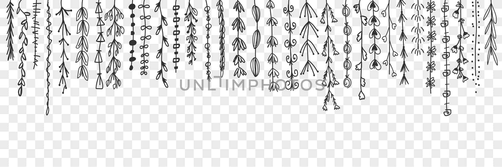 Hanging decorative lines with leaves doodle set. Collection of hand drawn hanging from above branches with elegant decorative leaves isolated on transparent background. Illustration of tree leaf